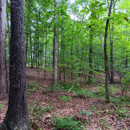 Farm and Ranch in Granville County, North Carolina