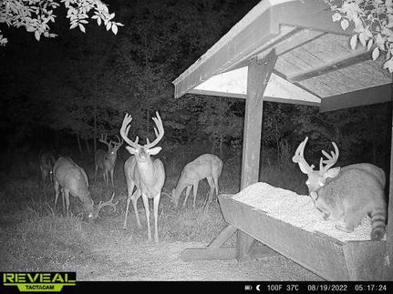 Undeveloped Land in Hopkins County, Kentucky