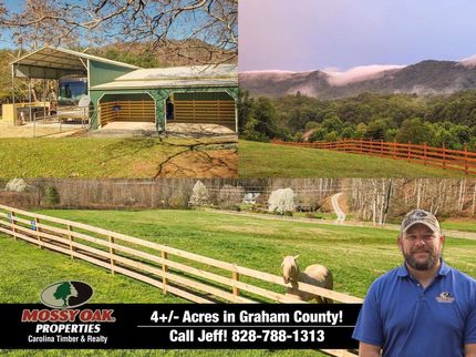 Timberland Property in Graham County, North Carolina