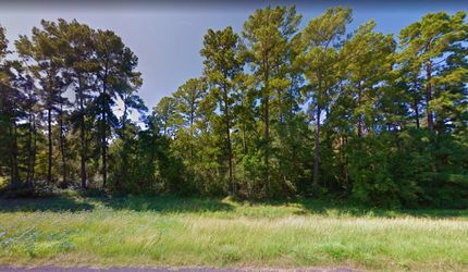 Undeveloped Land in Polk County, Texas