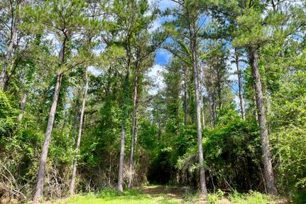 Land in Saint Helena Parish, Louisiana