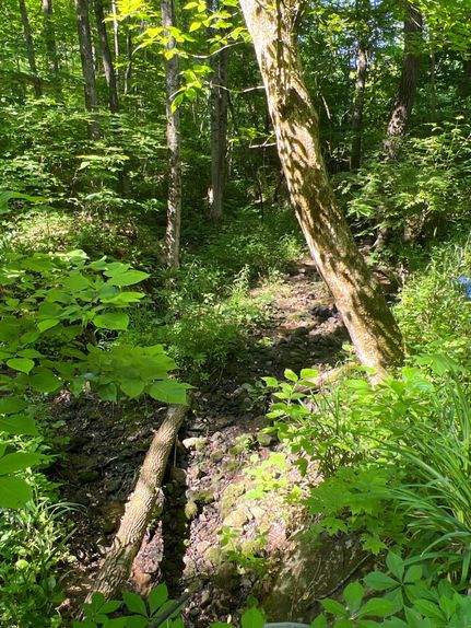 Timberland Property in Highland County, Ohio