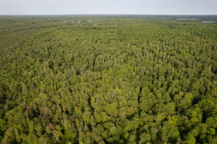 Undeveloped Land in Schoolcraft County, Michigan