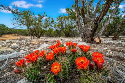 Farm and Ranch in Gillespie County, Texas