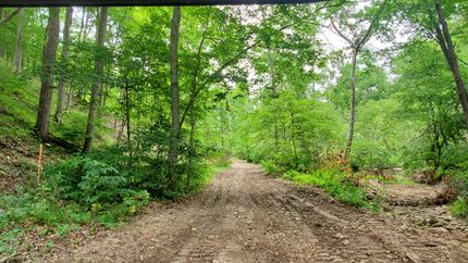 Timberland Property in Jackson County, Indiana