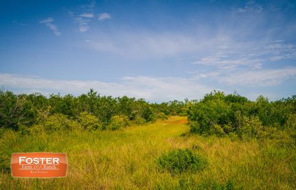 Undeveloped Land in Duval County, Texas