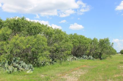 Hunting Property in Atascosa County, Texas