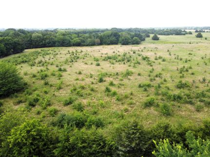 Timberland Property for sale in Fannin County, Texas