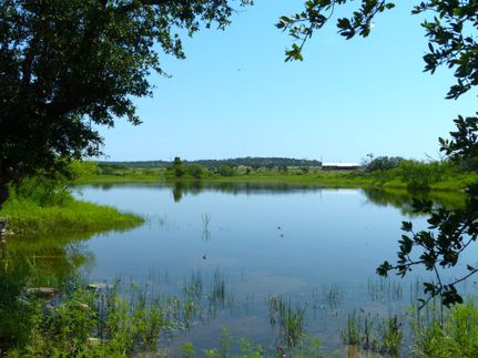 Farm and Ranch in McCulloch County, Texas
