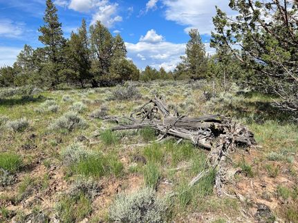 Undeveloped Land in Modoc County, California