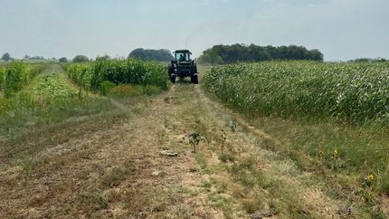 Farm and Ranch for sale in Hamilton County, Texas