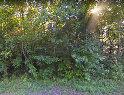 Undeveloped Land in Abbeville County, South Carolina