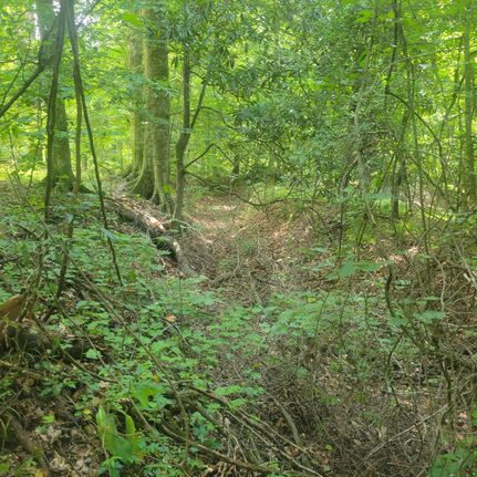 Recreational Property in West Feliciana Parish, Louisiana