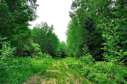 Land in Forest County, Wisconsin