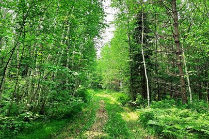 Farm and Ranch in Forest County, Wisconsin