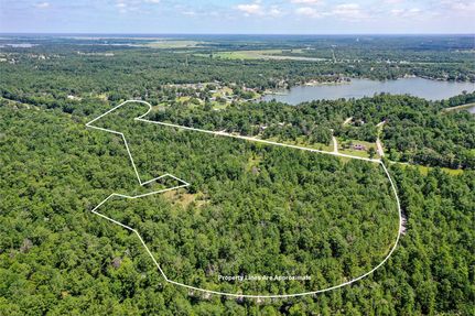 Timberland Property in Walker County, Texas