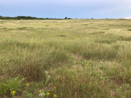 Undeveloped Land in Lincoln County, Nebraska