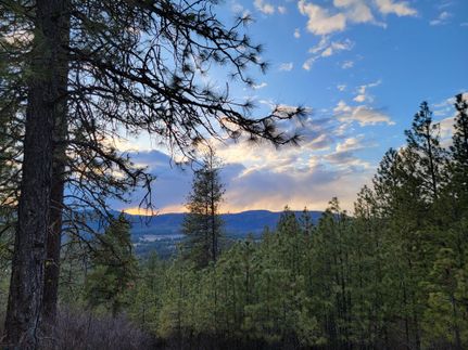 Undeveloped Land in Stevens County, Washington