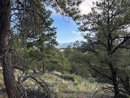 Timberland Property in Custer County, Colorado