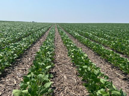 Farm and Ranch in Tazewell County, Illinois