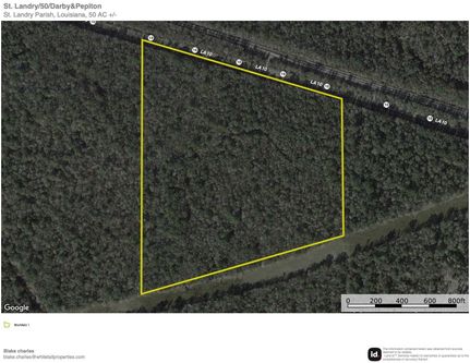 Timberland Property in Saint Landry Parish, Louisiana