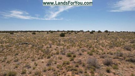 Timberland Property in Coconino County, Arizona