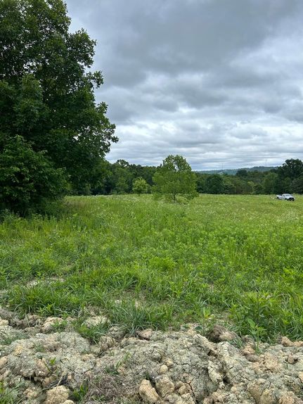 Timberland Property in Fleming County, Kentucky