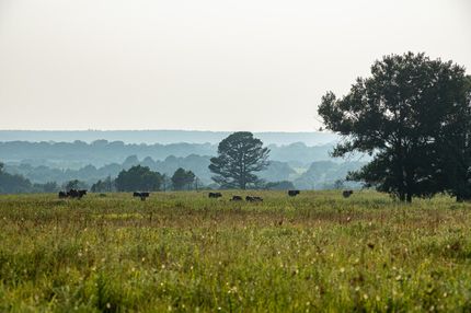 Farm and Ranch in Pittsburg County, Oklahoma