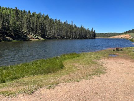 Timberland Property in Teller County, Colorado