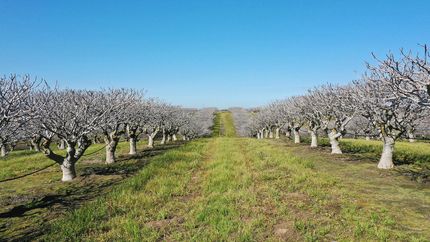 Land for sale in Madera County, California