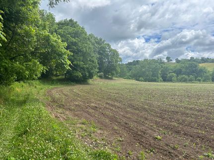 Timberland Property in Morgan County, Ohio