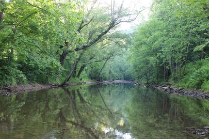 Undeveloped Land in Lee County, Kentucky
