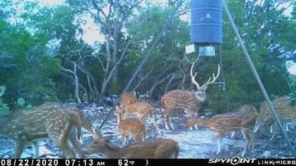 Undeveloped Land in Kimble County, Texas