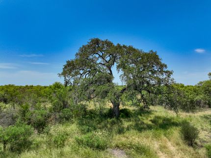 Farm and Ranch in Frio County, Texas