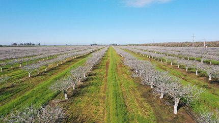 Land for sale in Madera County, California