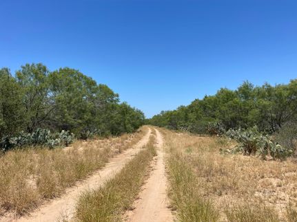 Land in Frio County, Texas