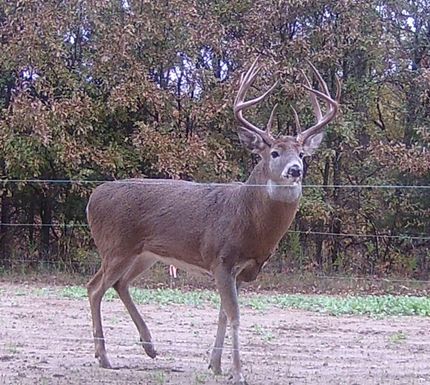 Recreational Property in Mercer County, Missouri
