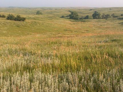 Land in Greeley County, Nebraska