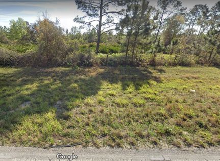 Undeveloped Land in Polk County, Florida