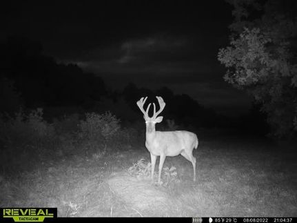 Land in Vernon County, Missouri