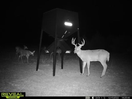 Hunting Property in Lyon County, Kansas