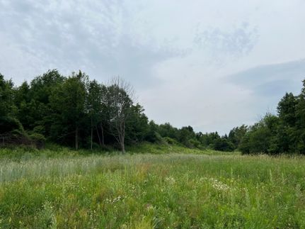 Undeveloped Land in Onondaga County, New York