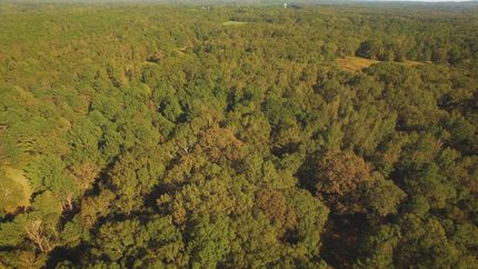 Land in Elmore County, Alabama
