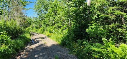 Undeveloped Land in Aroostook County, Maine