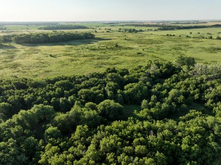 Undeveloped Land in Stafford County, Kansas