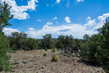 Farm and Ranch in Apache County, Arizona