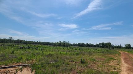 Farm and Ranch in Monroe County, Alabama