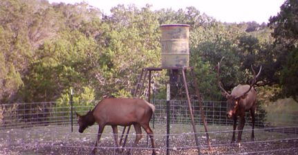 Farm and Ranch in Edwards County, Texas