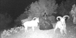 Farm and Ranch in Edwards County, Texas