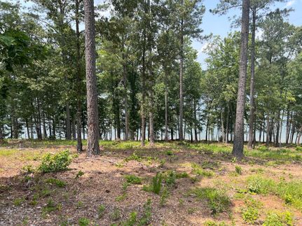 Timberland Property in Burke County, North Carolina
